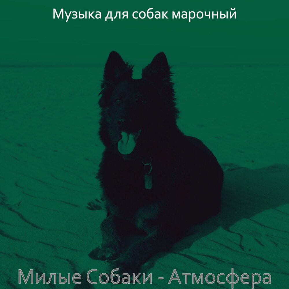 Звук собаки слушать. Мелодия собак. Песни про собак. Собачья песня. Медитативная музыка для собак.