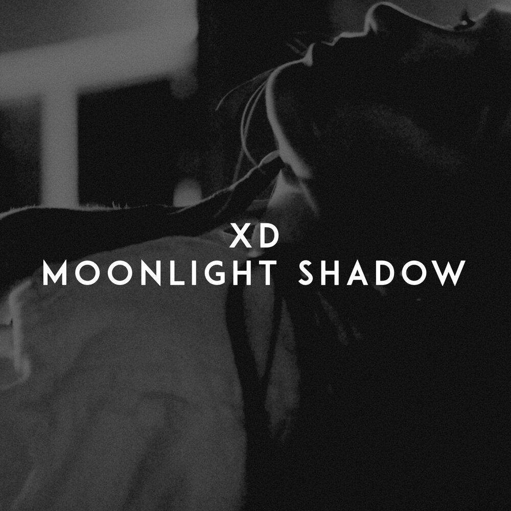 Moonlight shadow перевод