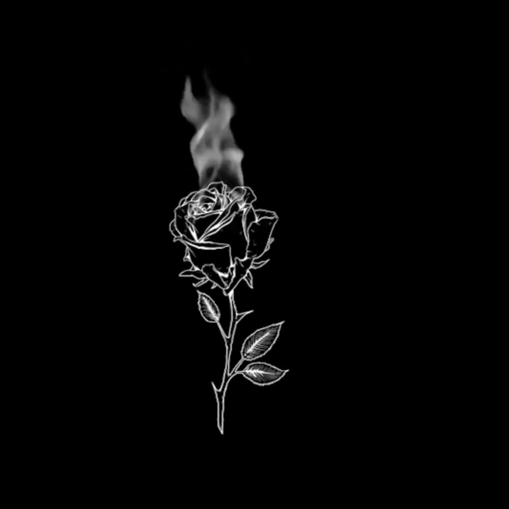 Горящая роза на черном фоне