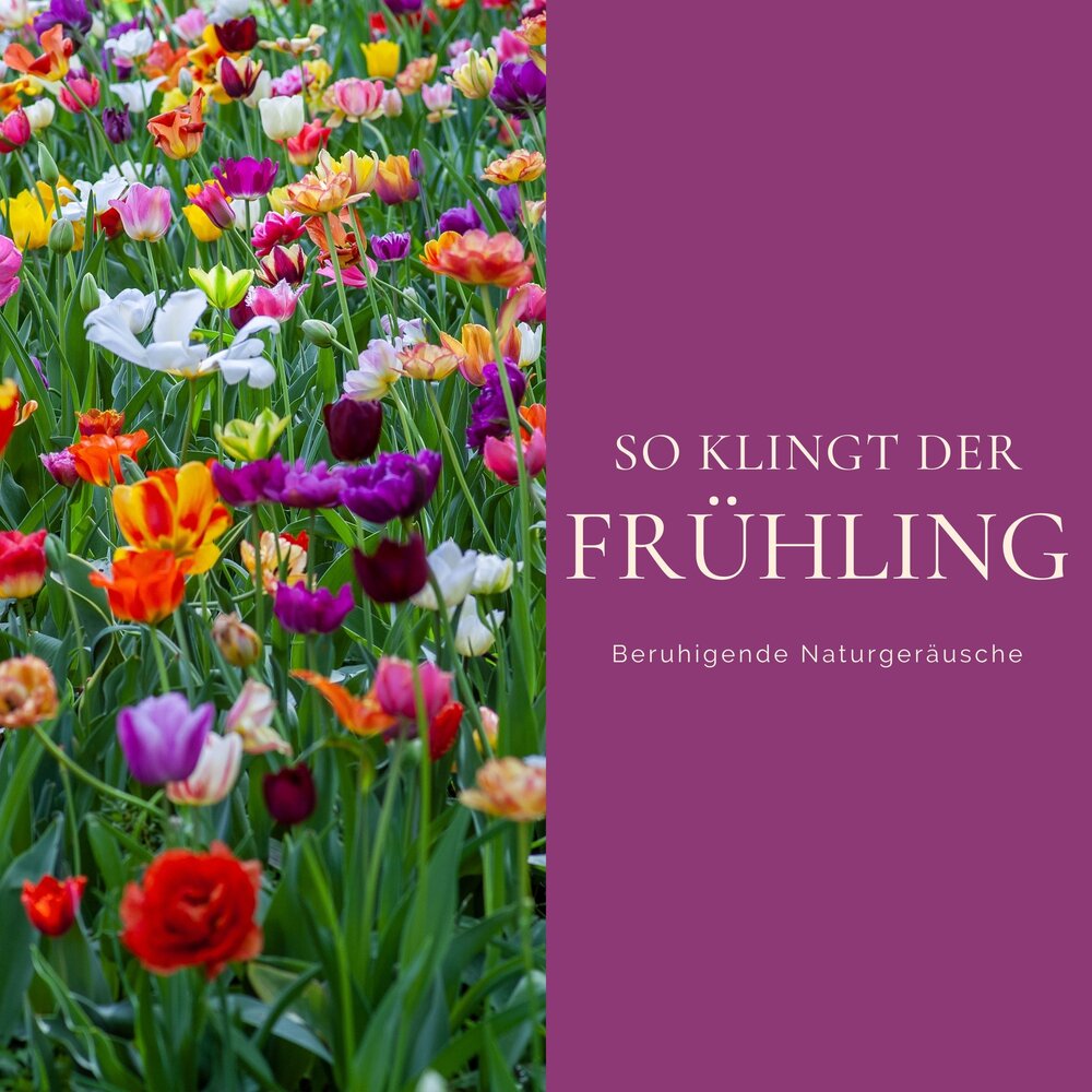 Der frühling ist