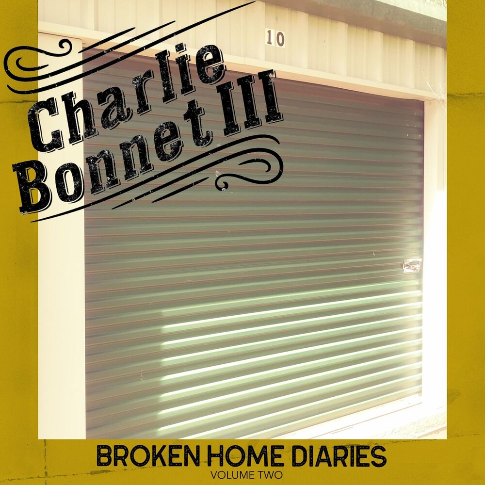 Broken третья форма. Charlie Bonnet III - household name (2011).