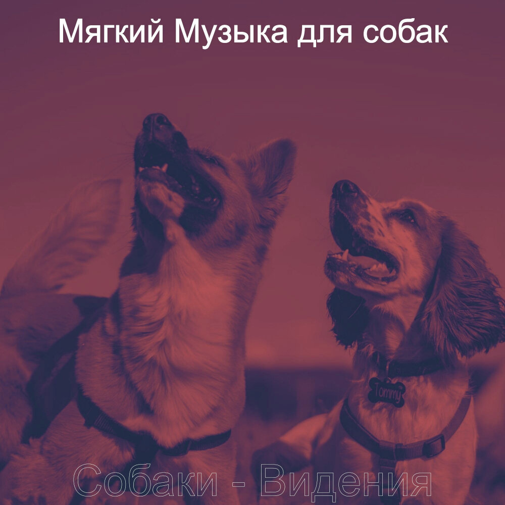 Мягкая песня