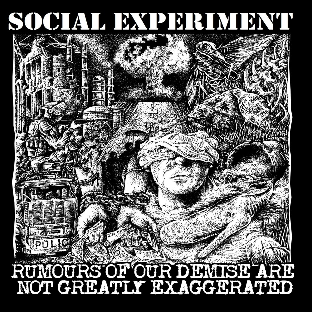 Social experiment. Sociological Experiment.