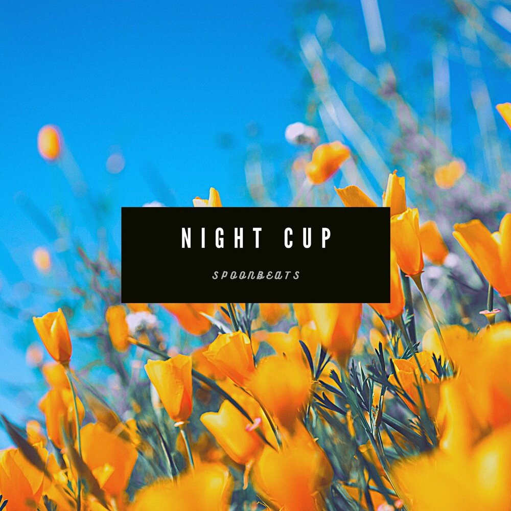 Night cup. Sanellix.