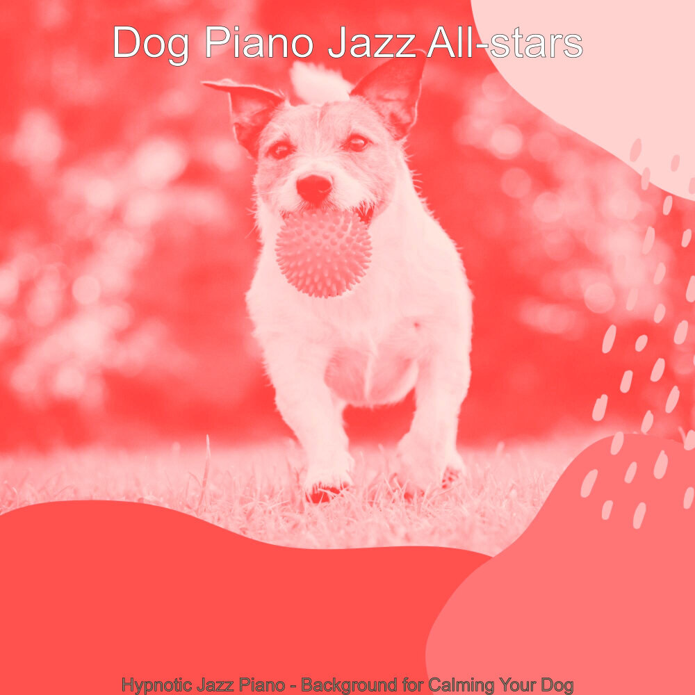 Dog piano. Dog feel Music.