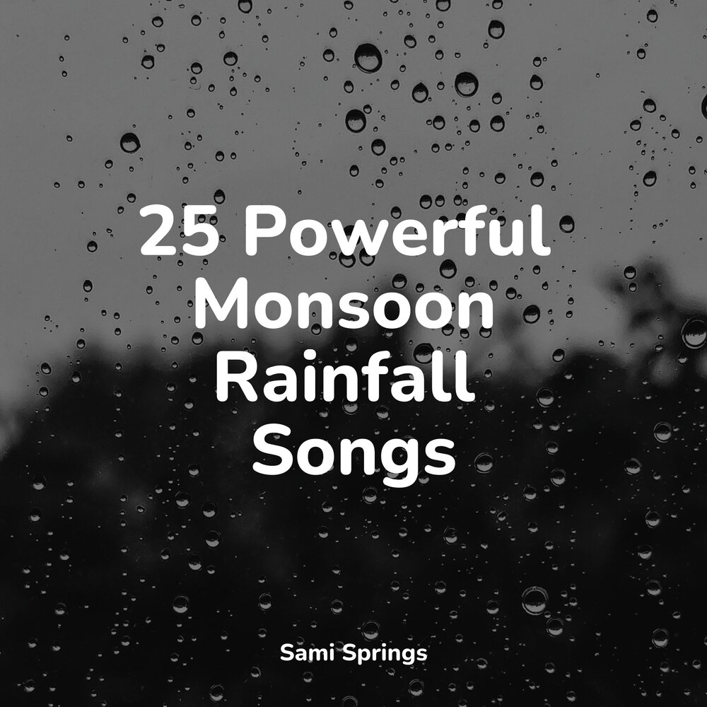 The rain song