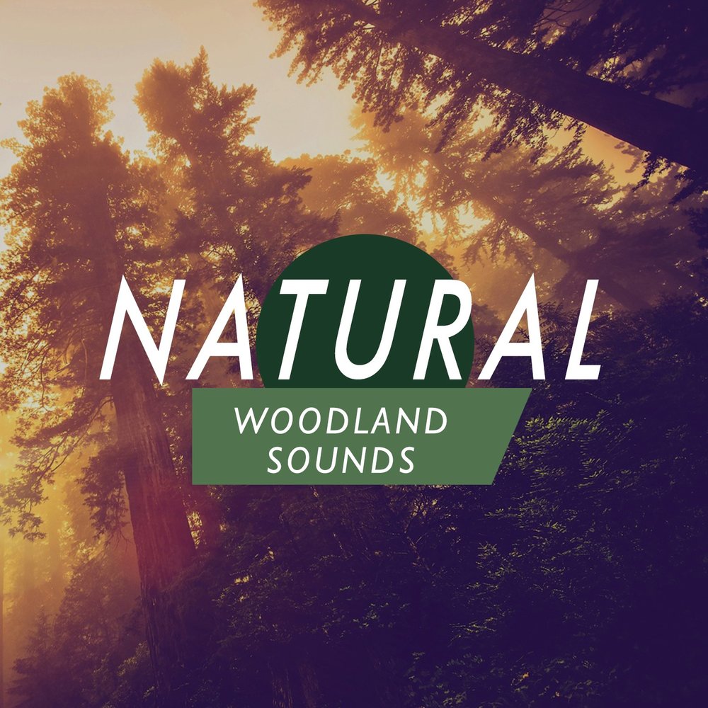 Natural sounds. Sounds. Sounds of nature. Sounds of nature. Naturals sounds.