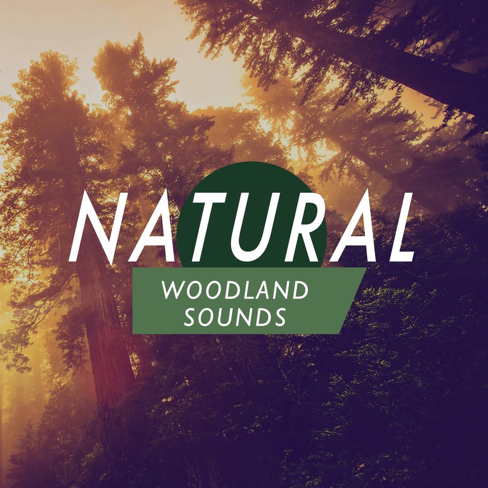 Naturals sounds. Sounds of nature. Natural Sounds. Woodland Sounds.