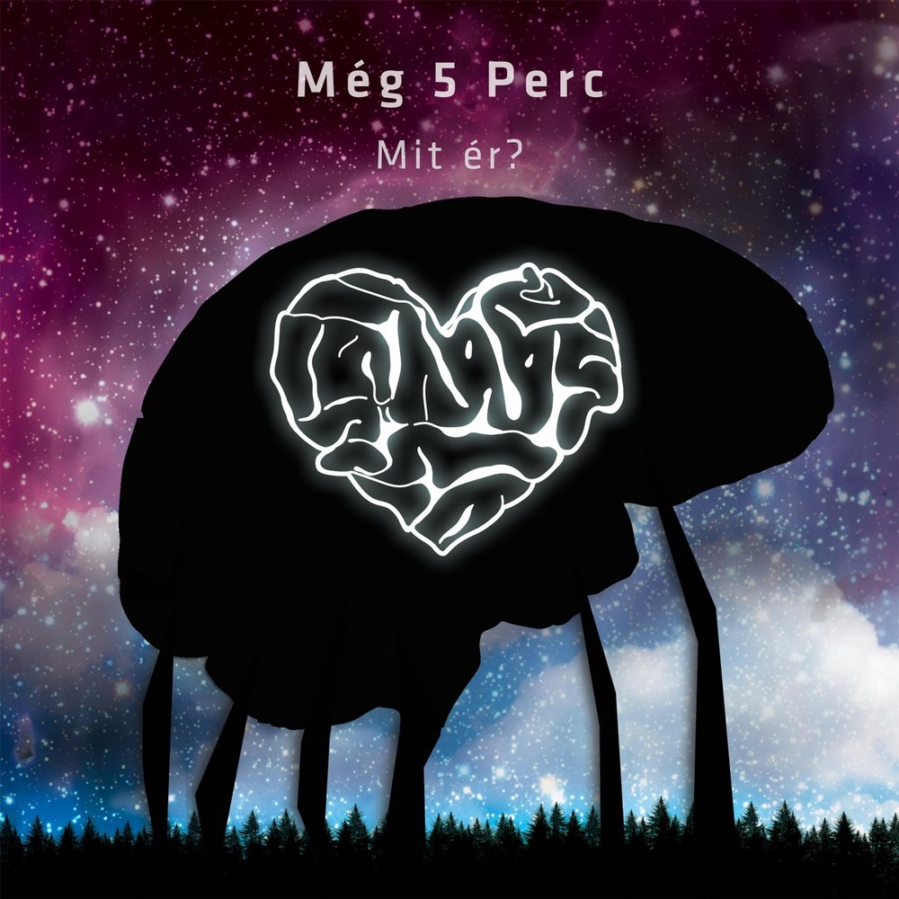 Мег 5. Percs.