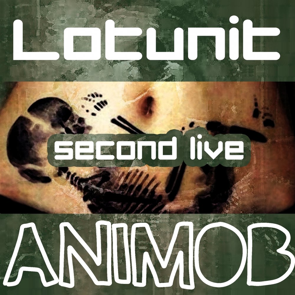 Vitalic - second lives. Секонд лайф игра. Аватары в секонд лайф. Second life игра 2022. Second life 2003 игра.