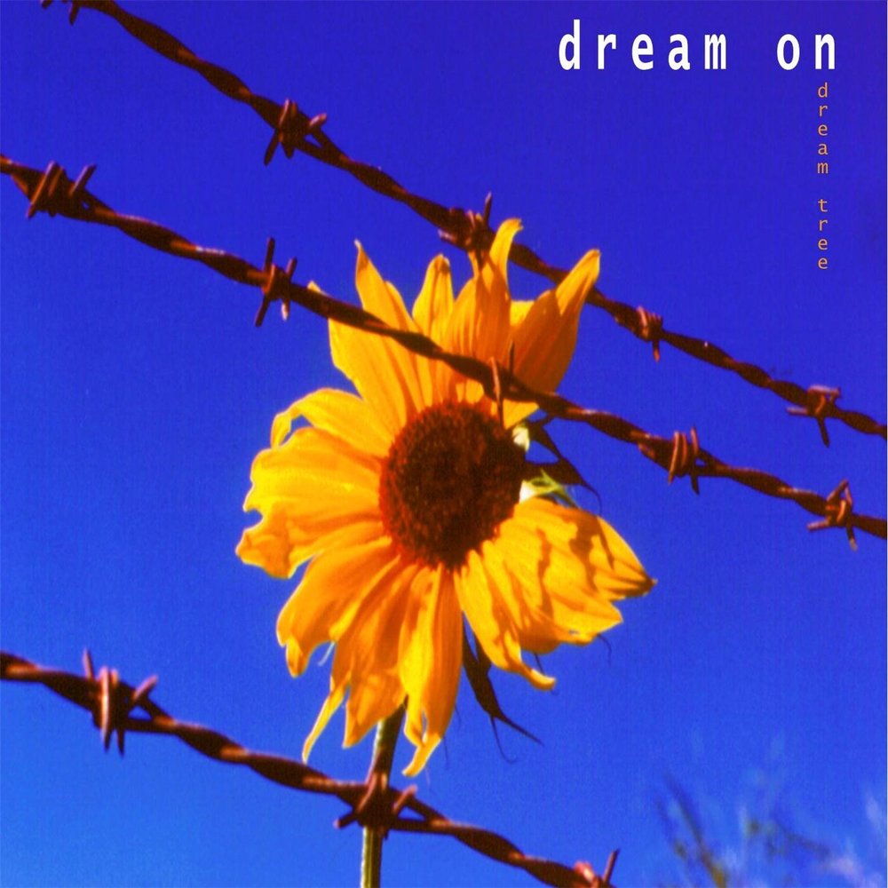 Dream close. Dream flow. анимация мр дрим флоу. Dream close. Dream close.