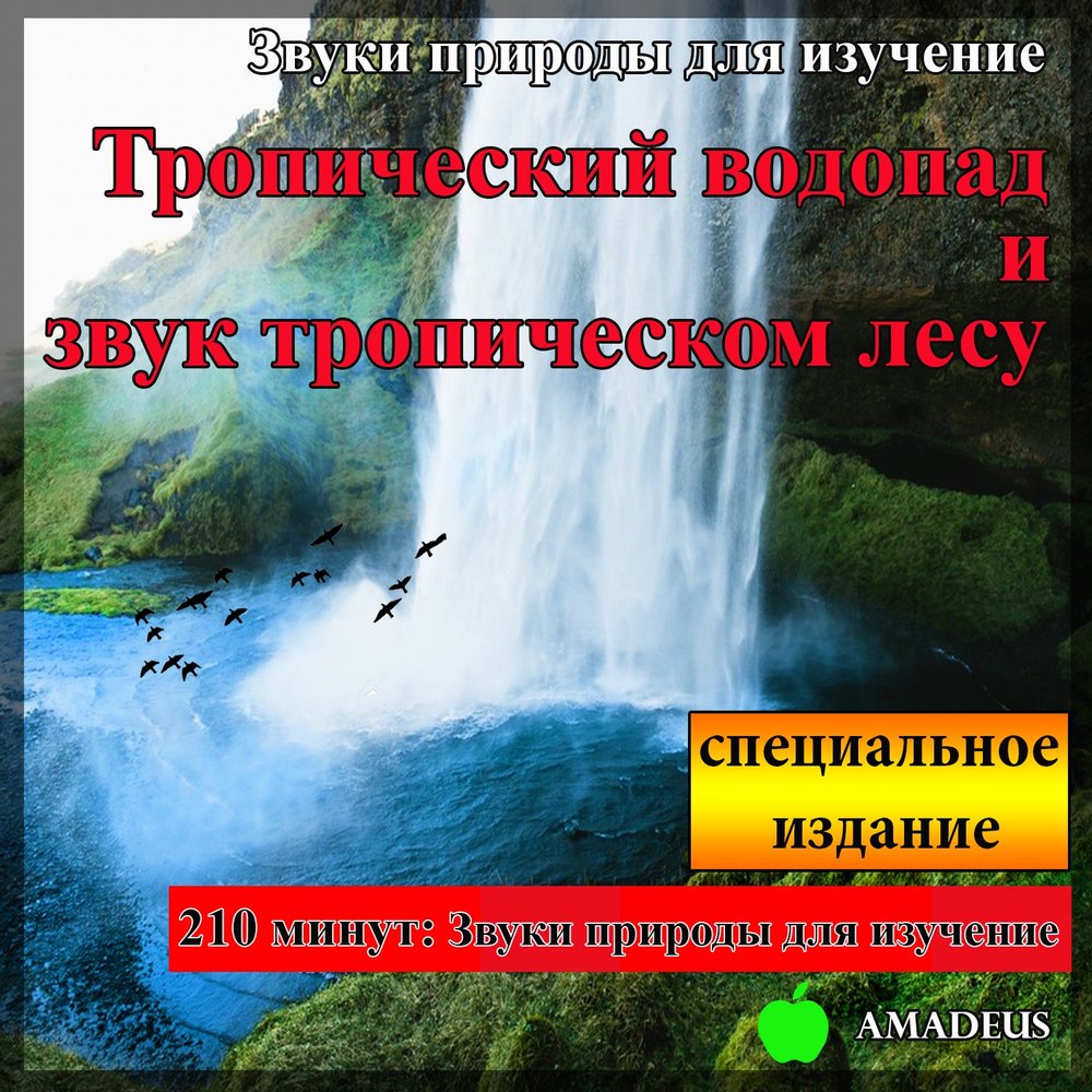 Включи amadeus альбом звуки. Звуки природы исцеляют. Звуки природы звук для сна. Звуки природы слушать. Звуки природы список.