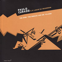 Paulo Curado