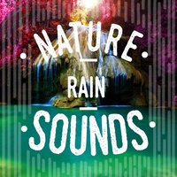 Nature Rain Sounds