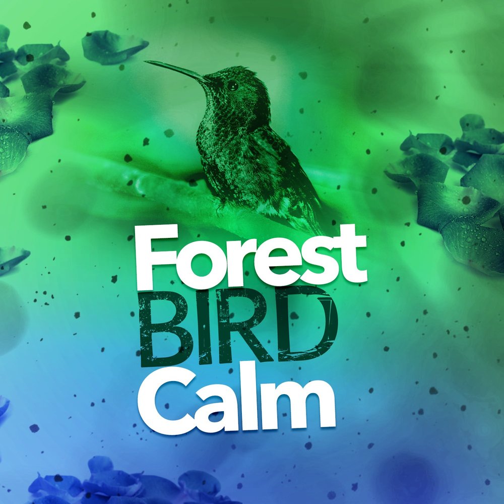 Listen the Birds Sing. Calm Bird перевод. Relaxing Forest Sounds - Birds singing and Wind Sounds in leaves.