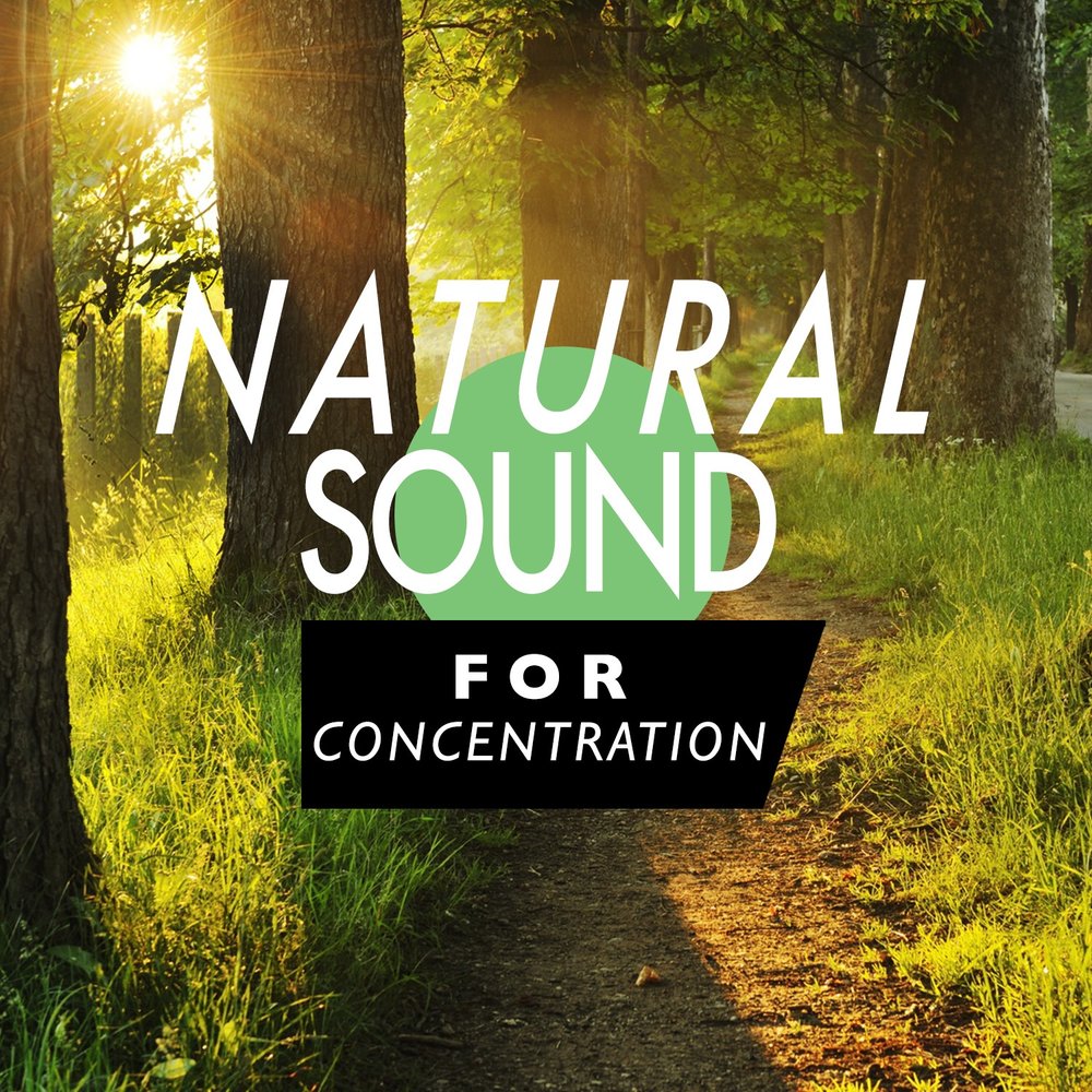 Natures series. Sounds of nature. Sonata about nature.