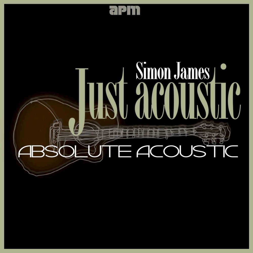 Absolute acoustic. Kashmir Barstool Simon James.