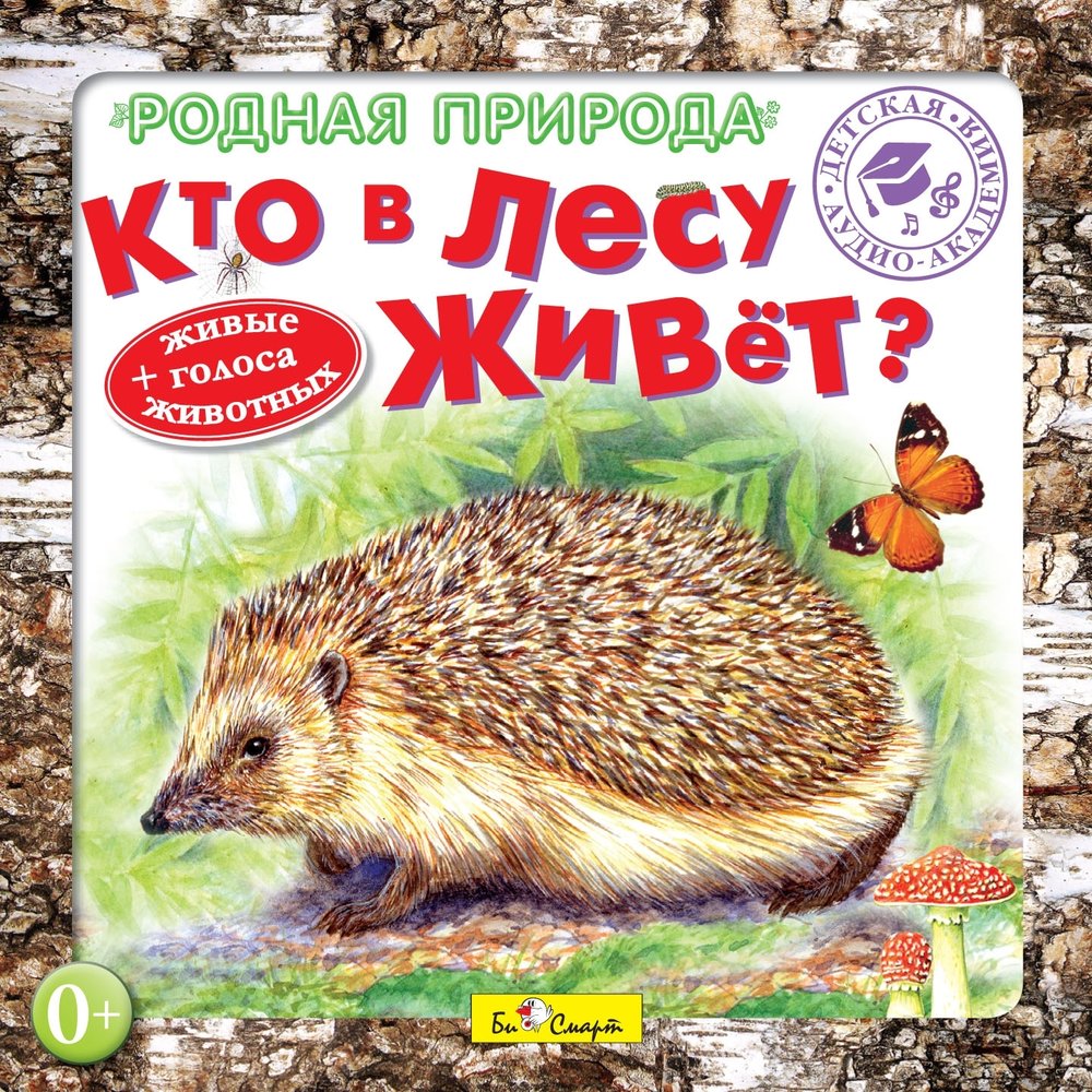 В каком лесу живет. Кто живет в лесу. Кто живет в лесу журнал. Живём в лесу. Кто живёт в лесу для детей.