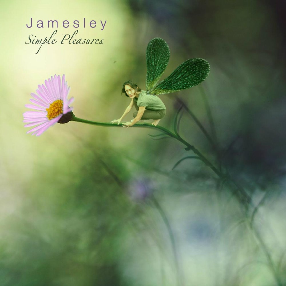 Jamesley альбом Simple Pleasures слушать онлайн бесплатно на Яндекс Музыке ...