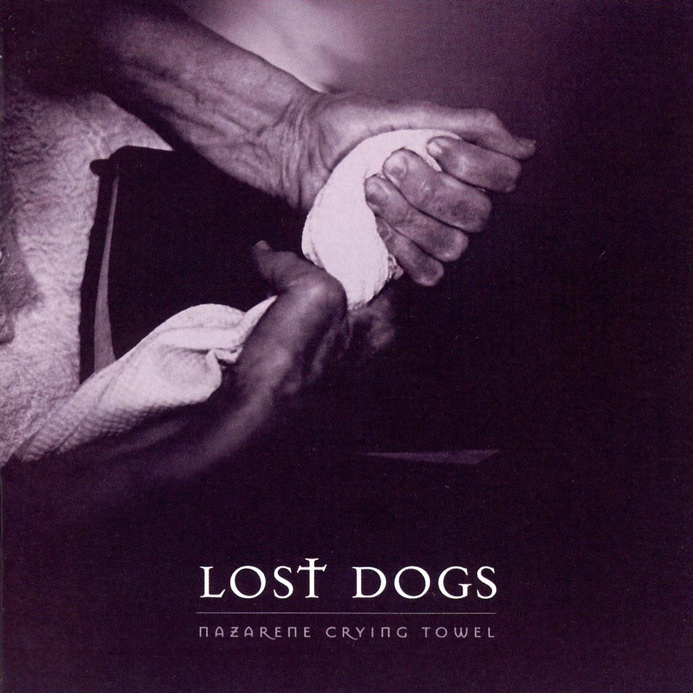 Losing dogs. The Lost Dog. My losing Dogs песня о чем.