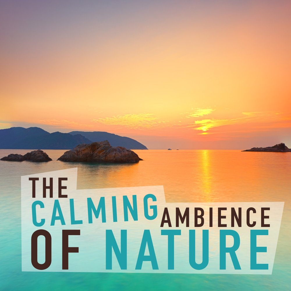 Float away. Ambient calming. Calming music. The calm ambience islam. Ambient calming.