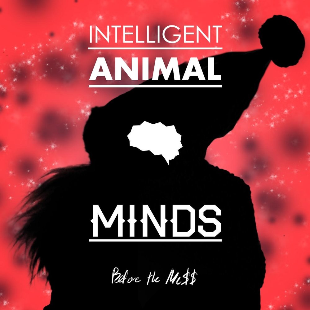 Animal intelligence. Intelligent песни. Animal Mind.