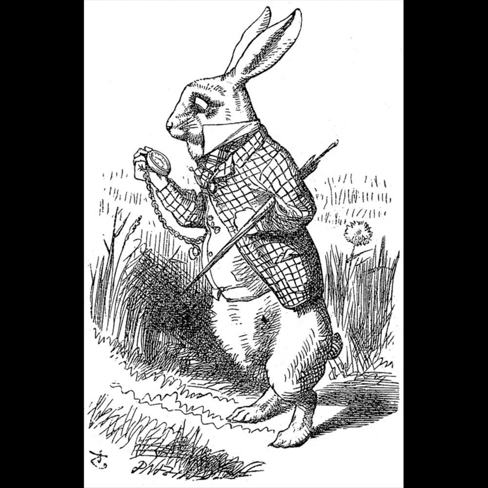 Исследователь перерезал у белого кролика. Джон Тенниел иллюстрации Алиса. Джон Тенниел Алиса в стране чудес. Джон Тенниел иллюстрации Алиса в стране чудес. Алиса иллюстрации Тенниела