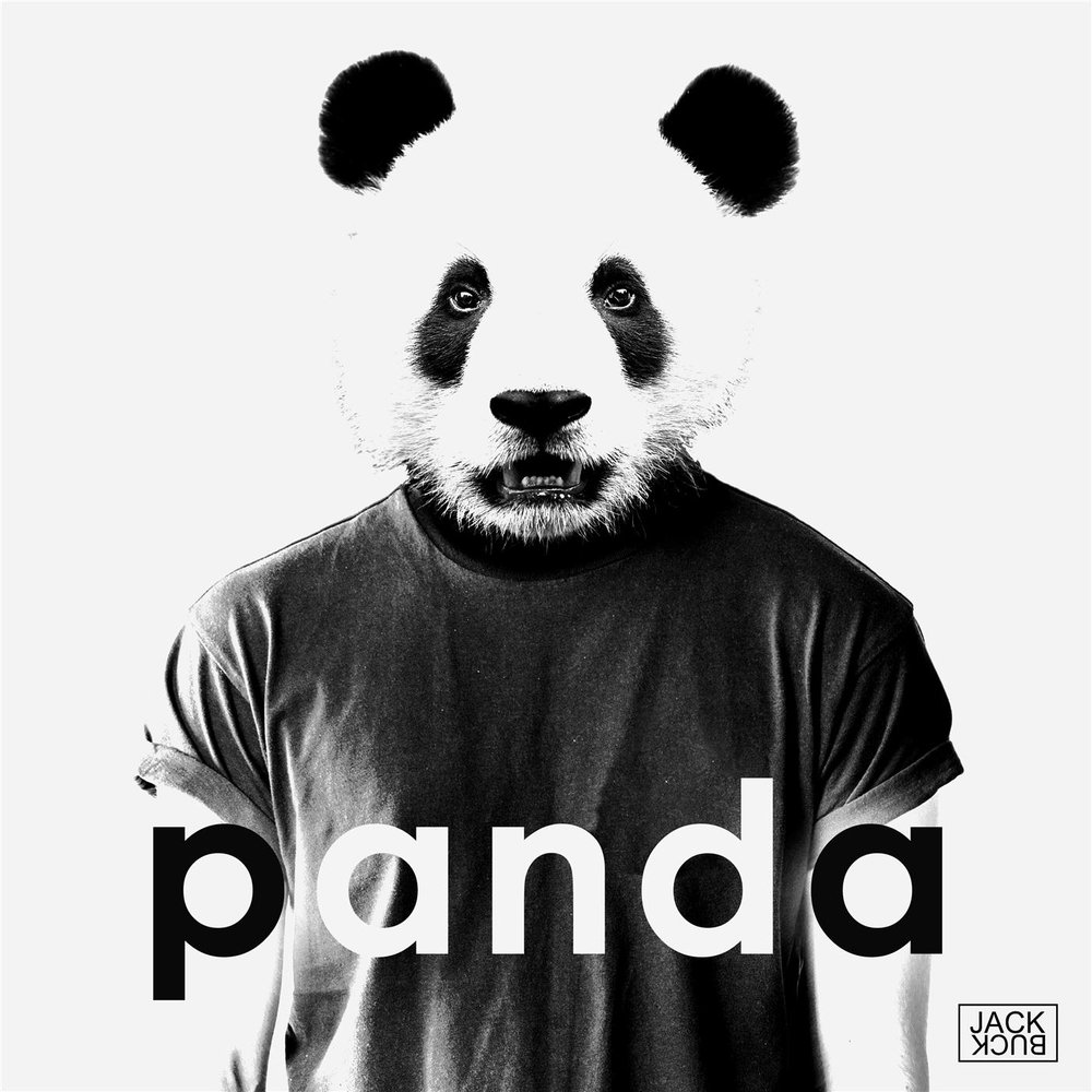 Panda песня. Панда е. Музыкальная Панда. Панда песня. Твой Панда.