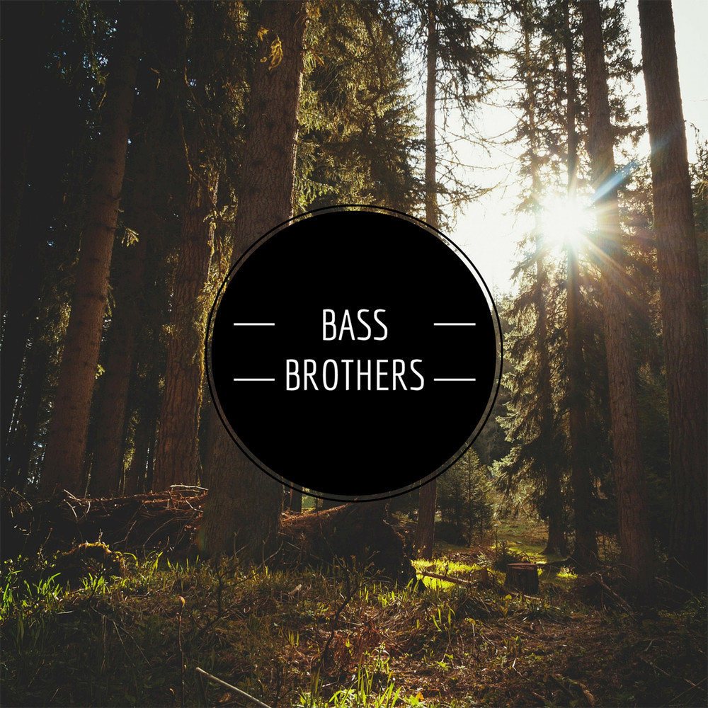 Bass bros