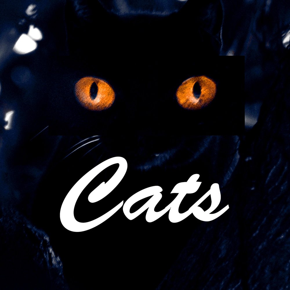 Альбом кошка. Кет кет. Grizabella the Glamour Cat. Песня Cats.