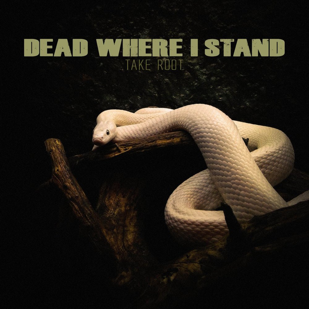 Where you stand. 2009 - Where Death is most Alive. You'd be Dead where you Stand.