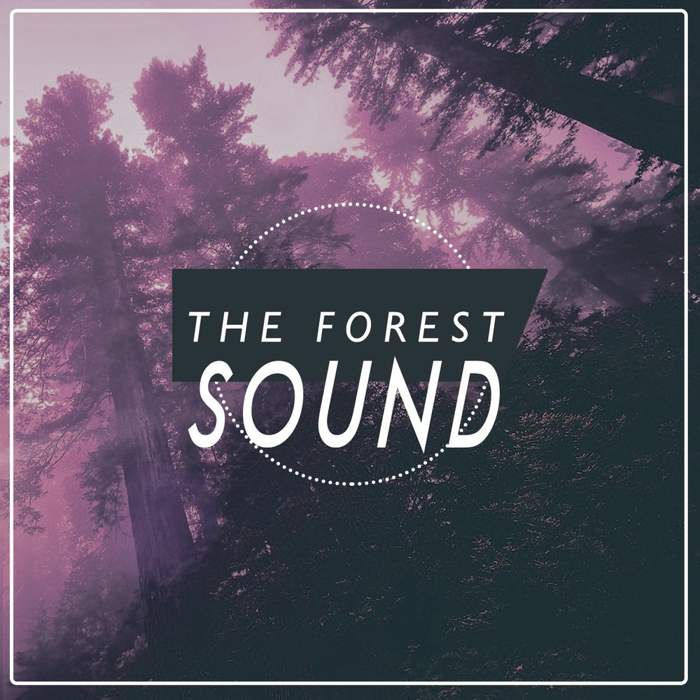 Follow sounds. Sounds of the Forest. Forest песня. @_No_News_ тик ток Forest Sounds - tracks of nature.