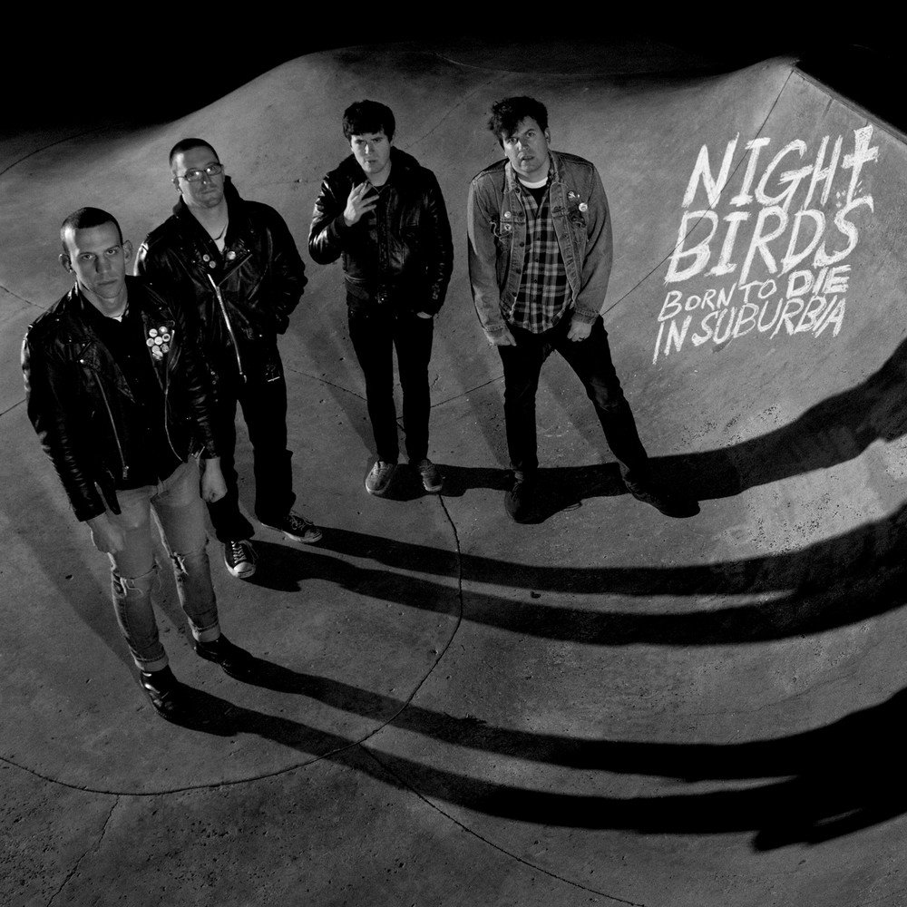 Midnight bird. Night in the ruts album Cover. Born to die Punk. Night Birdie.