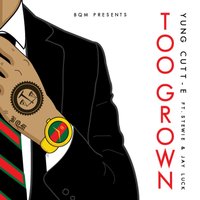 artist-cover