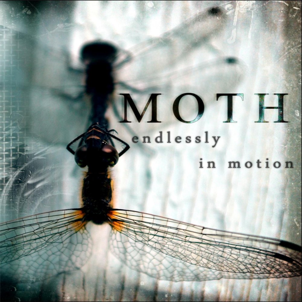Группа сила моли песни. Endlessly. Woosung Moth album. Death Moth backrooms. Muse endlessly перевод.