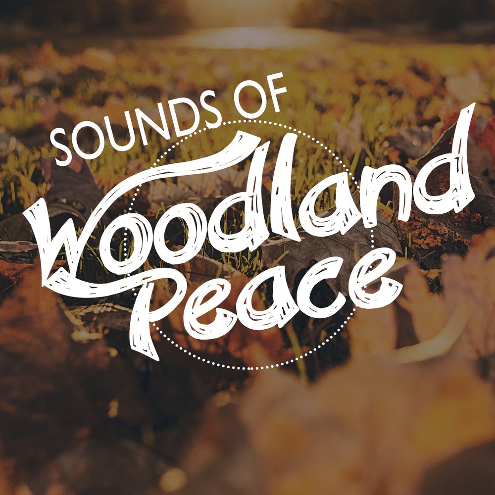 Nature songs. Woods песня. Sounds of nature. Classic nature Sounds. V/A "Sounds of nature".