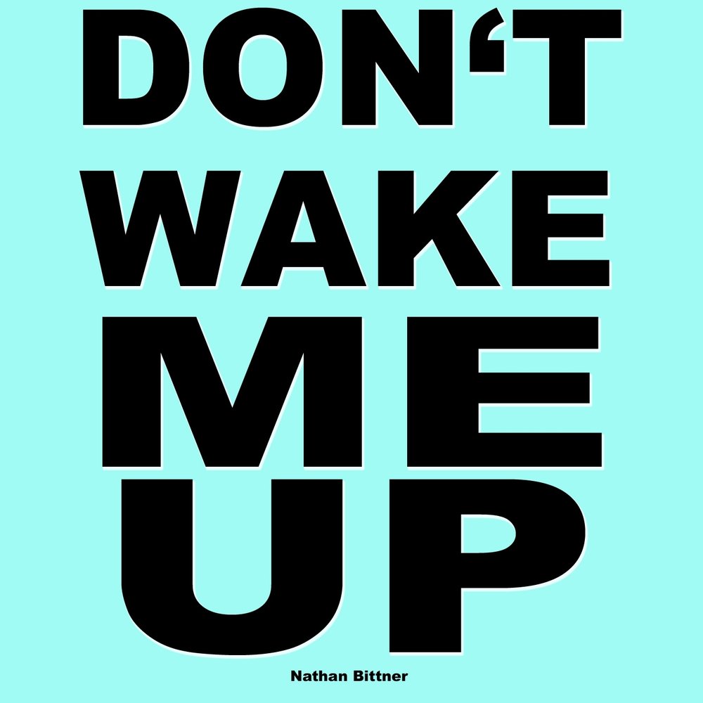 Don't Wake me. Dont Wake me. Don't Wake me up.