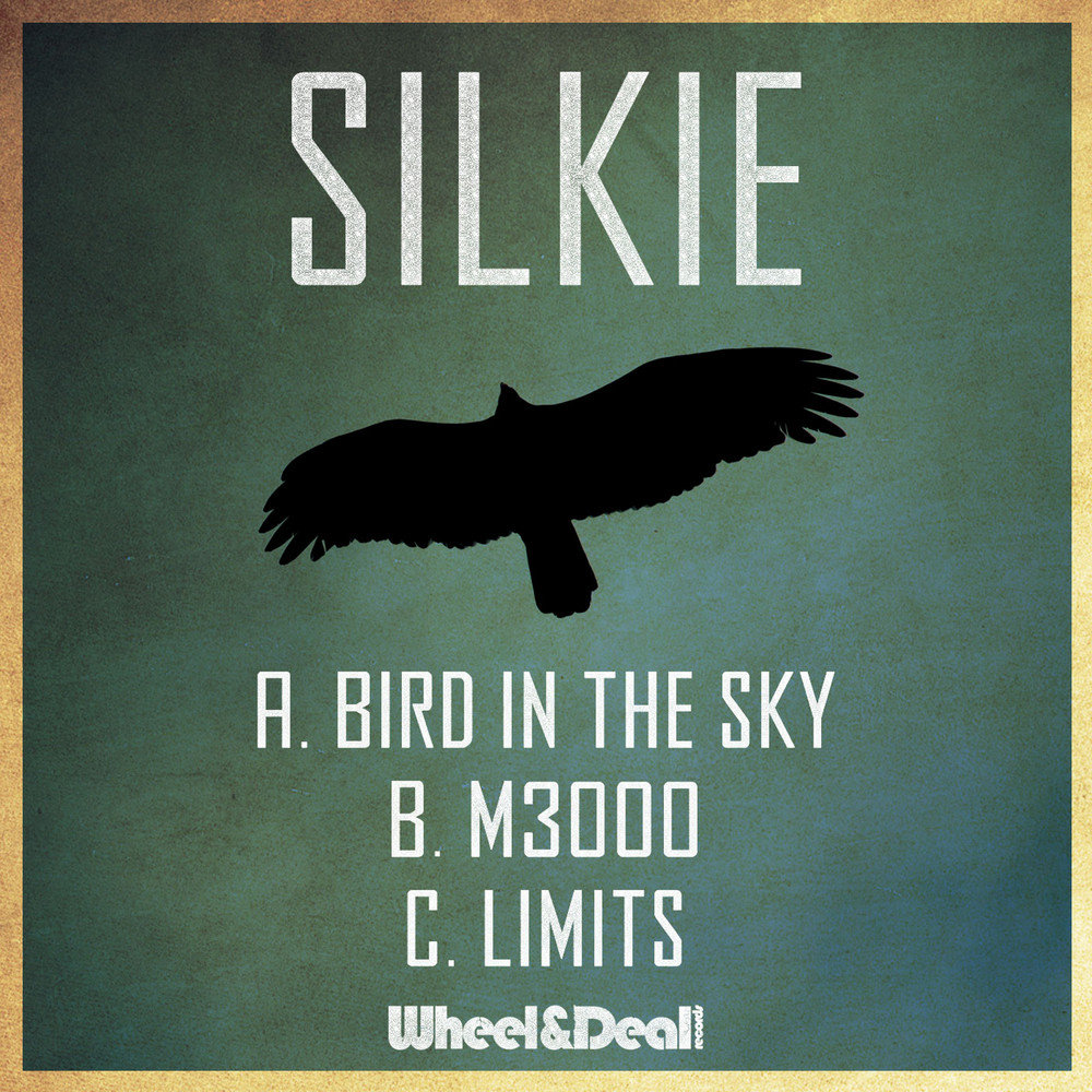 Bird spoke. Альбом птицы. Lumen птицы альбом. Listen to the Birds. The Midnight Silkie Irish.