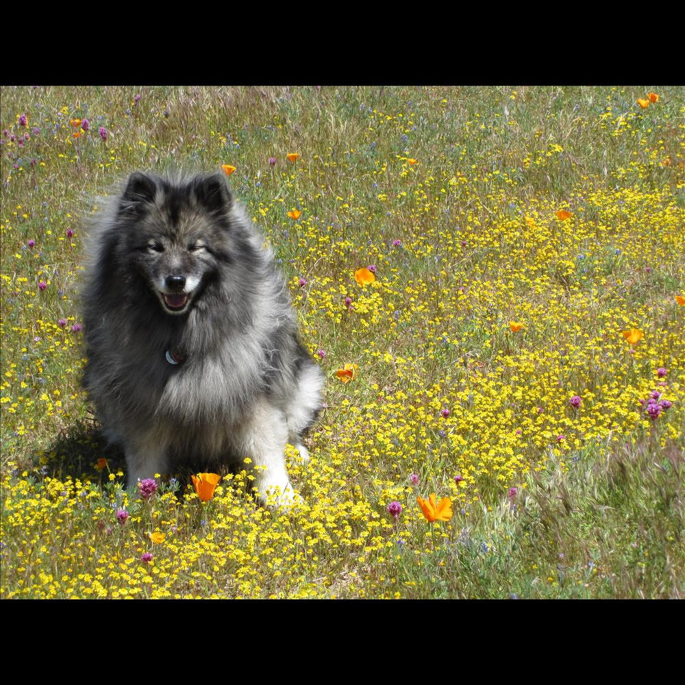 Торн слушать. Полночное солнце обложка фильма. Торн слушать. Sister трэйси торн. Торн слушать.