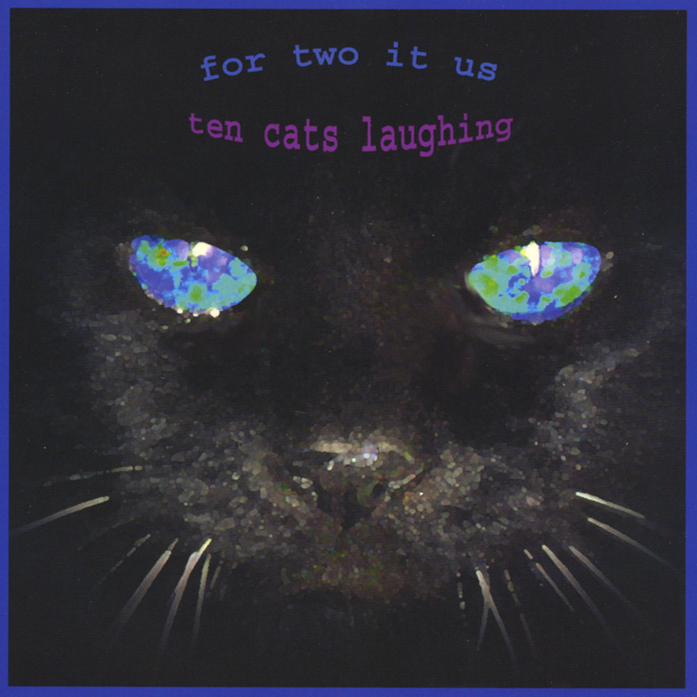 Песня 10 кошек