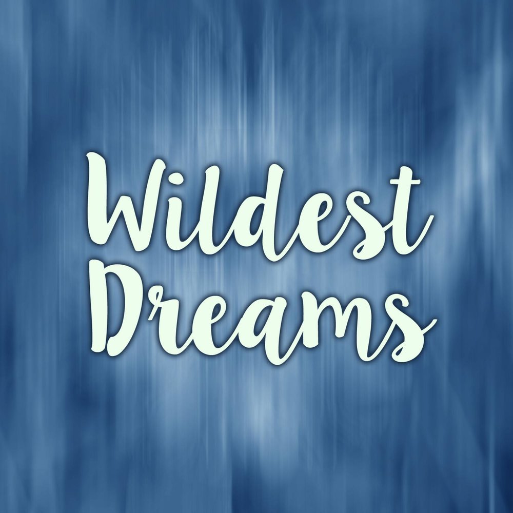 Wildest dreams. Wildest.