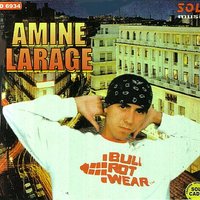 Amine Larage