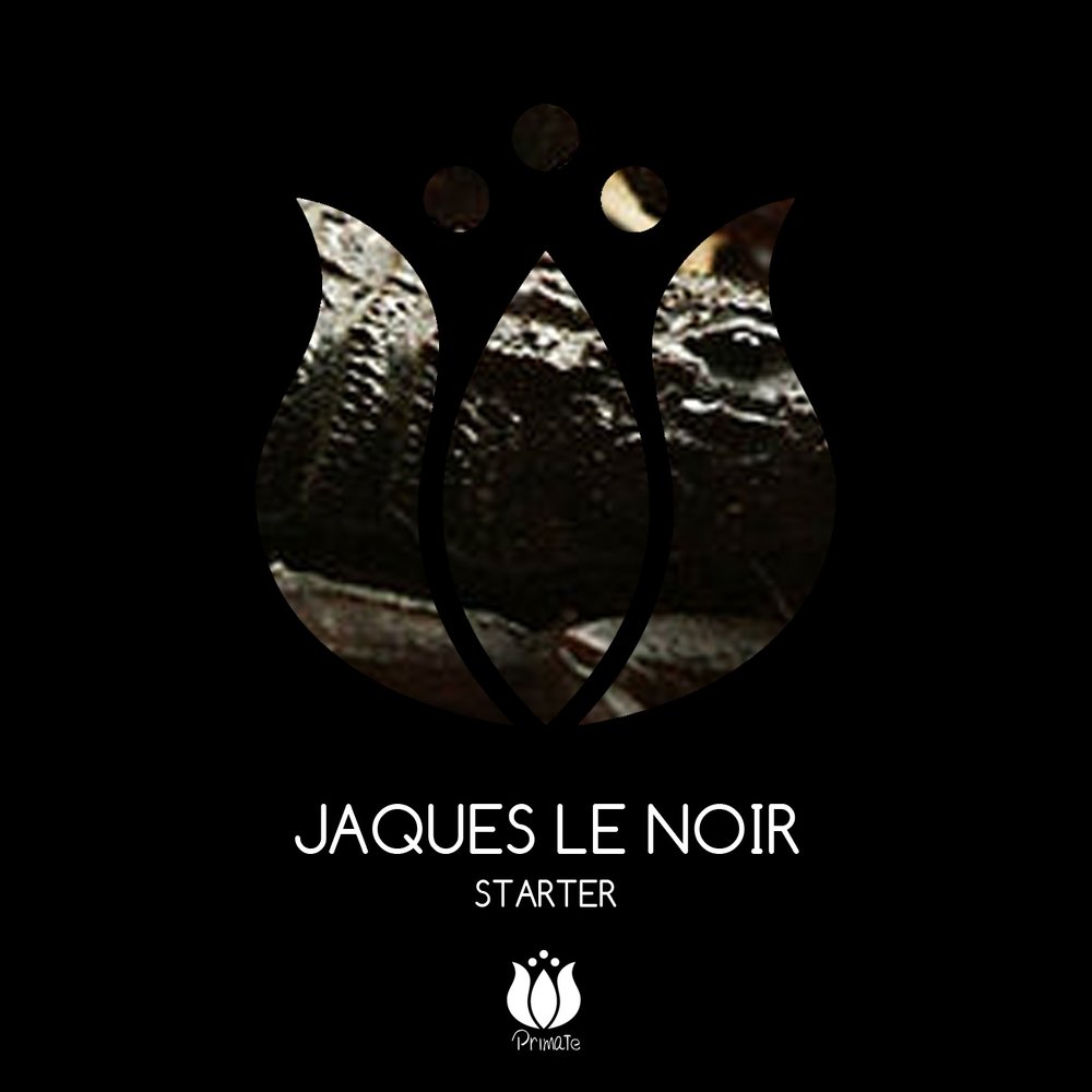 Starter слушать. Robert Miles - Princess of Light (Jaques le Noir Remix).