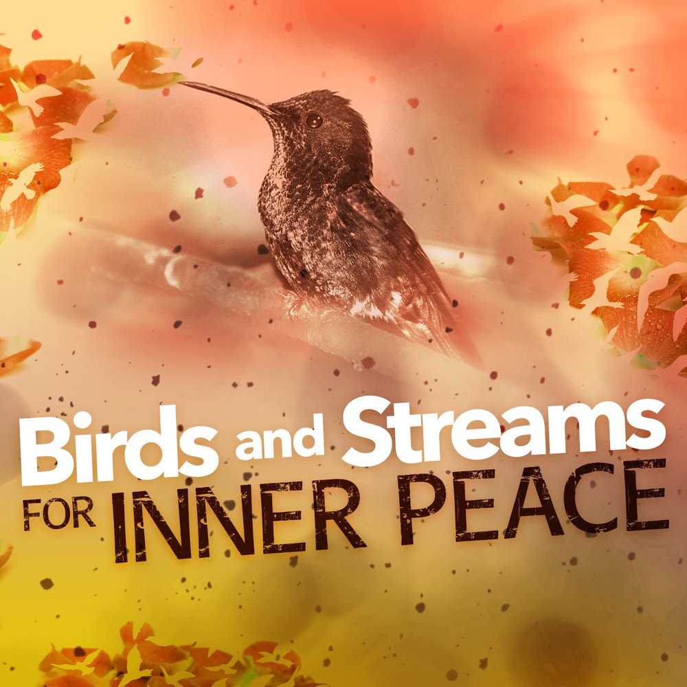 The birds sing in the garden. Listen the Birds Sing. Listen the Birds are singing in the Garden. Relaxing Forest Sounds - Birds singing and Wind Sounds in leaves. Birds are singing Round my Window.