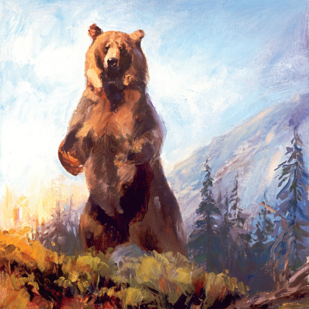 The last bear. Медведь Гризли картины. Bear standing. Медведь Борис и его.