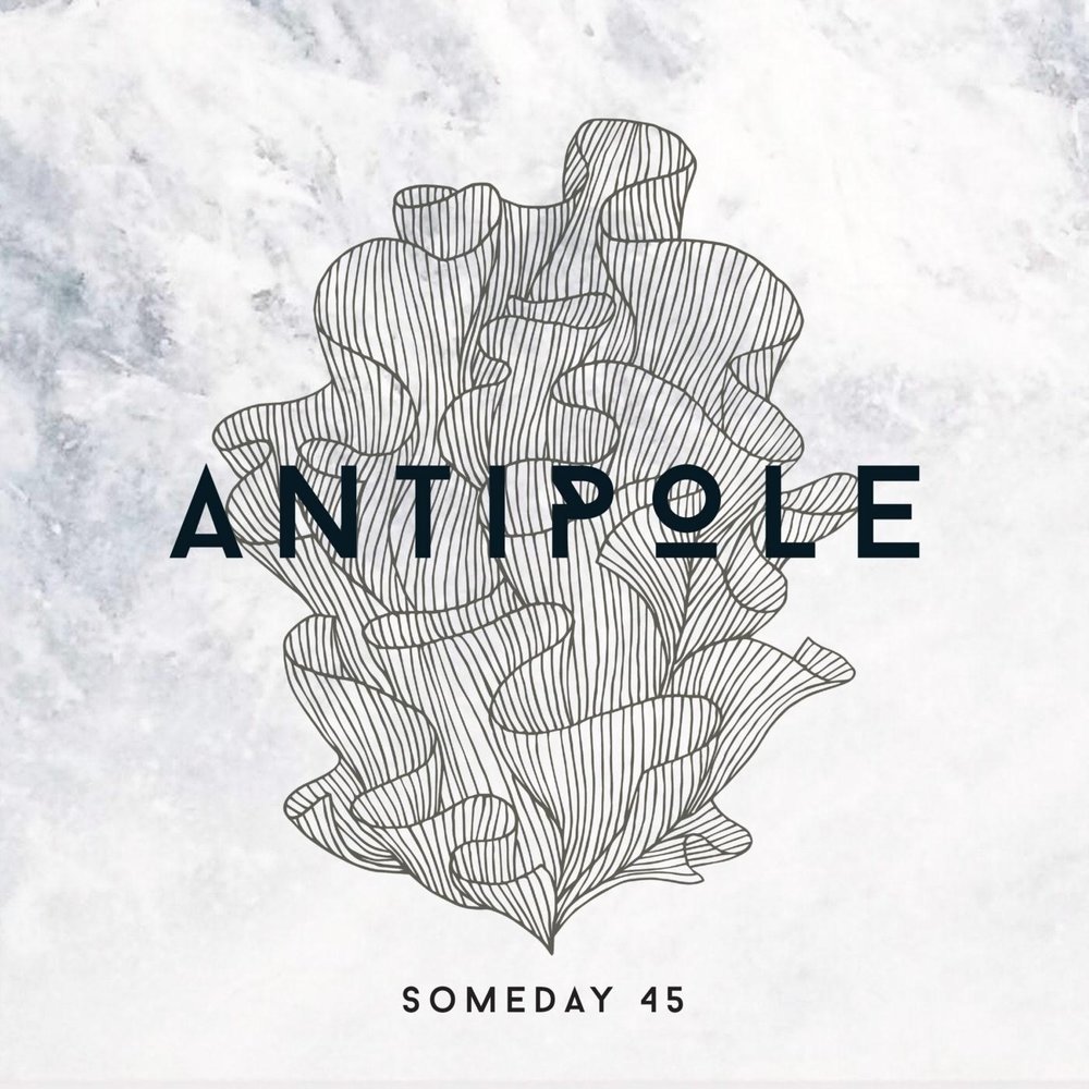 Some days песня. Фирма Someday. Someday песня. Antipole Northern Flux. Emo Someday альбом.