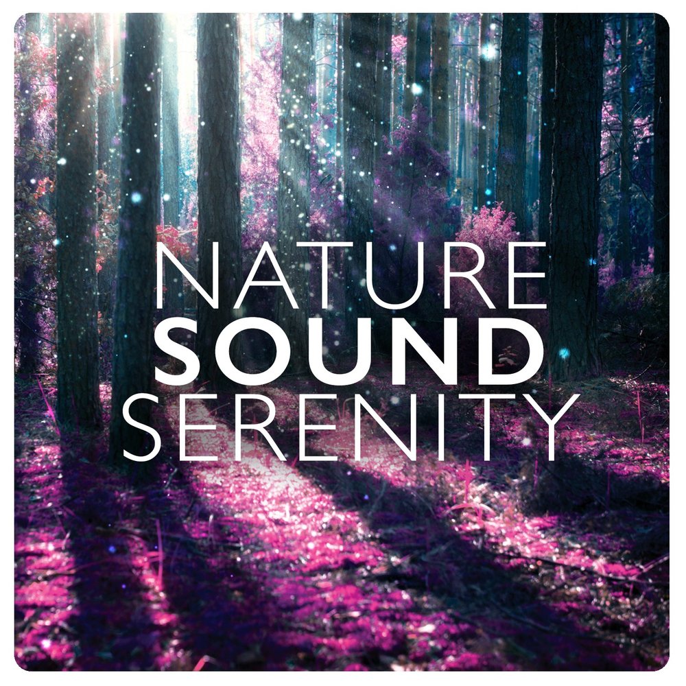 Naturals sounds. Sounds of nature. Natural Sounds.