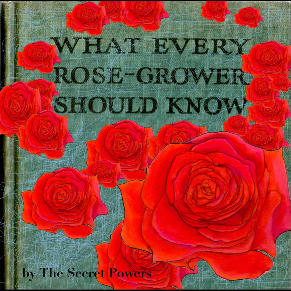 Secret powers. Every Rose. Secret Power.