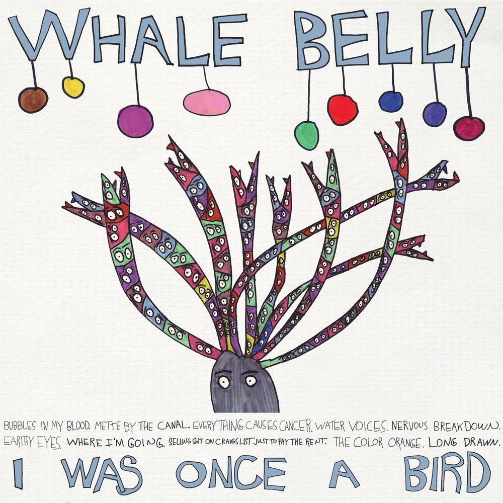 Оnce i see a bird poem. Little bird стихотворение. Стих little bird. Оnce i see a bird poem. Султанка такахе.