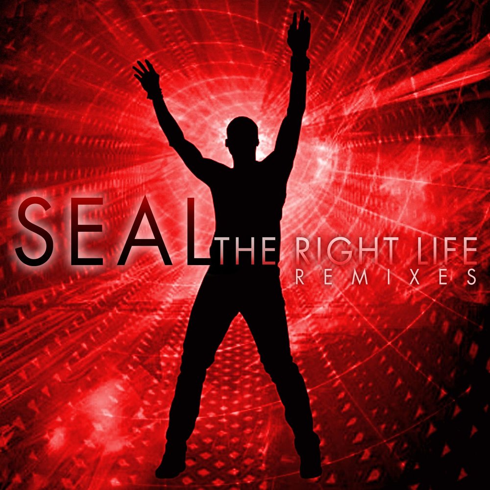 The man of my life. Seal певец. Tiësto альбомы. Right to Life. Mans Life обложки.